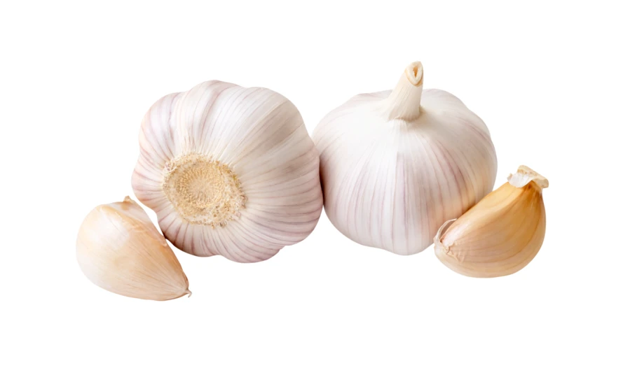 Fresh garlic bulbs and cloves isolated on white background