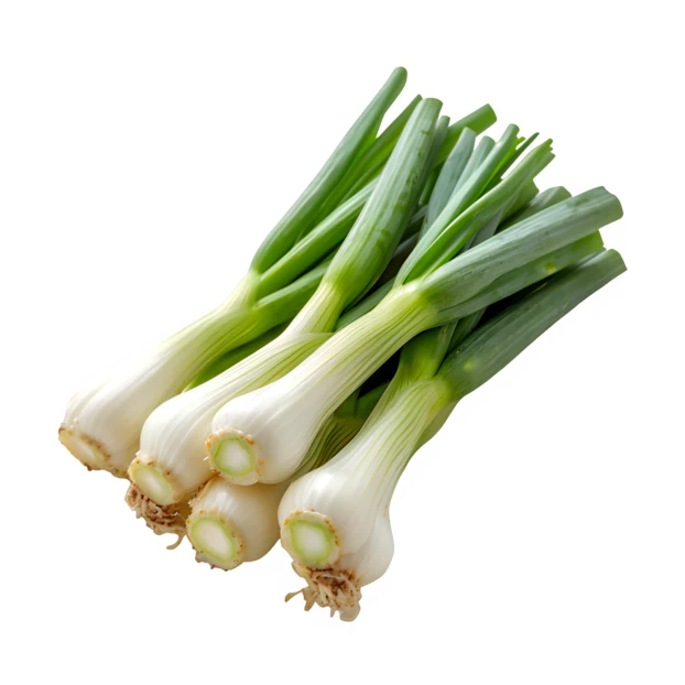 Fresh bunch of green onions isolated on white background