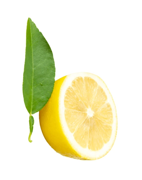 Half of a fresh yellow lemon with a green leaf