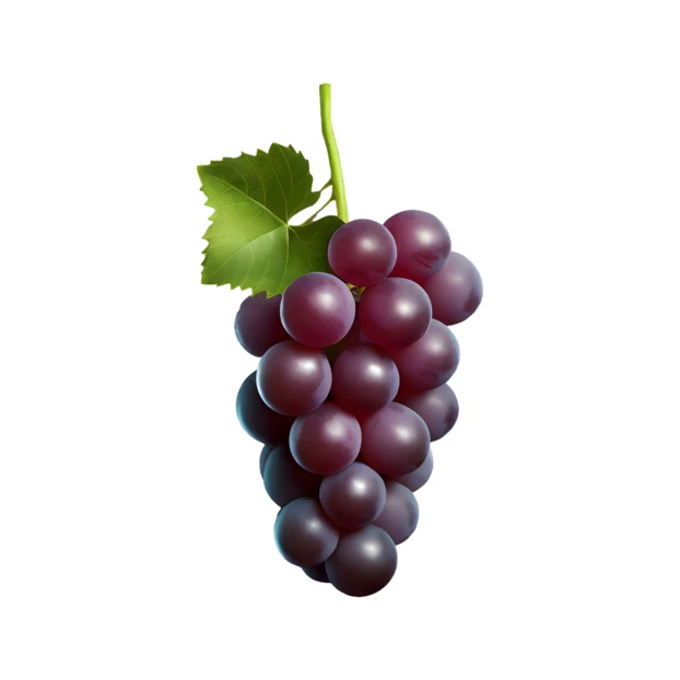 Bunch of fresh purple grapes with green leaf