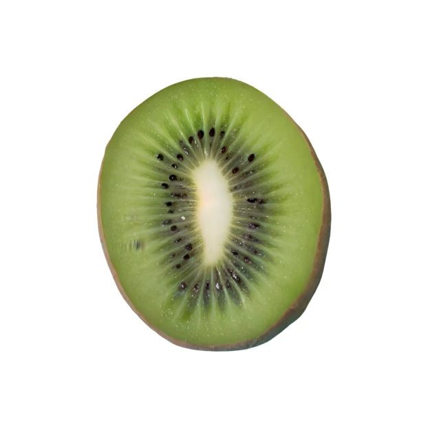 Cross section of a fresh green kiwi fruit slice