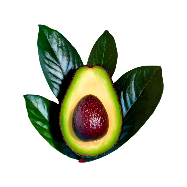 Fresh halved avocado with pit and leaves on white background