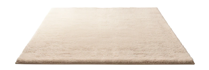 Soft beige rectangular shag rug isolated on white background