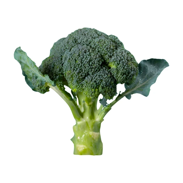 Fresh green broccoli head with leaves isolated on white