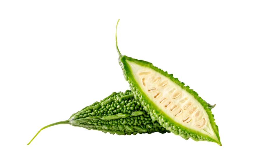 Fresh whole and sliced bitter melon on white background