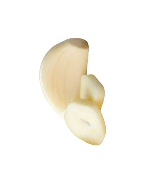 Peeled garlic clove and slices isolated on white background