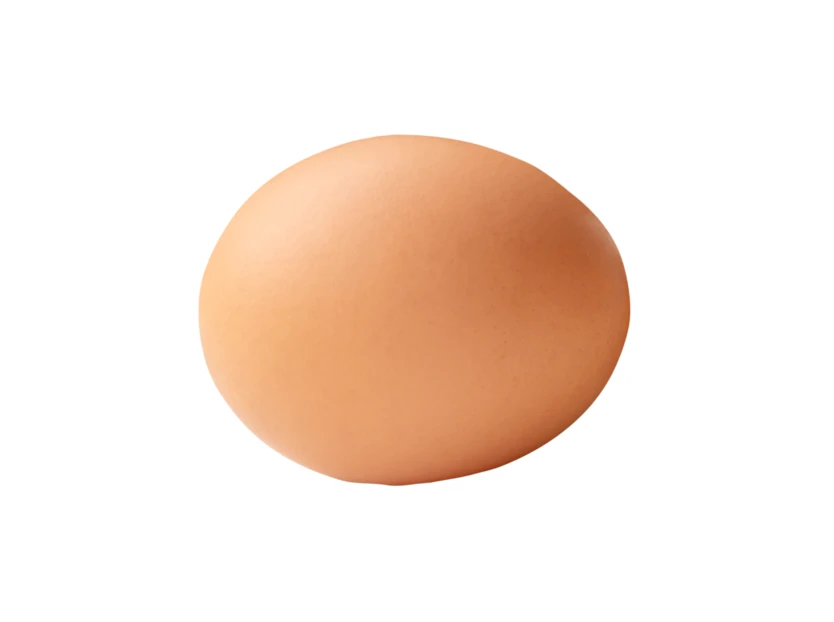 Single brown chicken egg isolated on white background