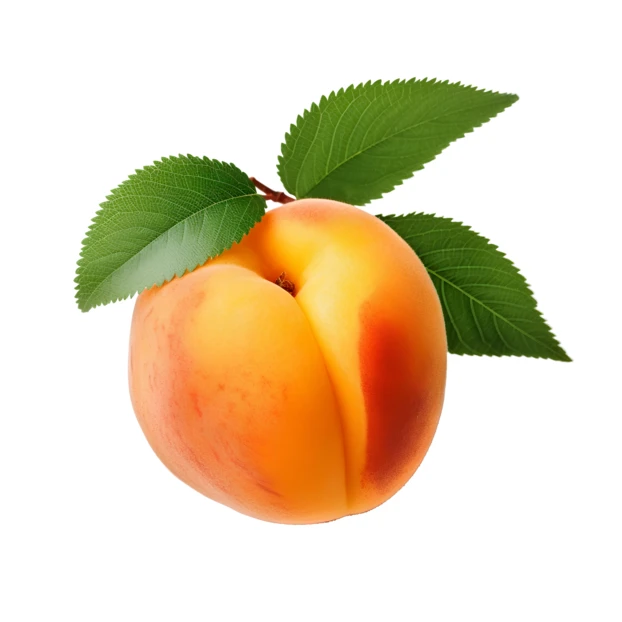 Fresh ripe apricot with green leaves isolated on white background