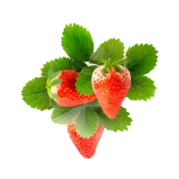 Fresh ripe strawberries with green leaves isolated on white background