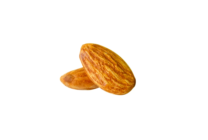 Two whole almonds isolated on white background