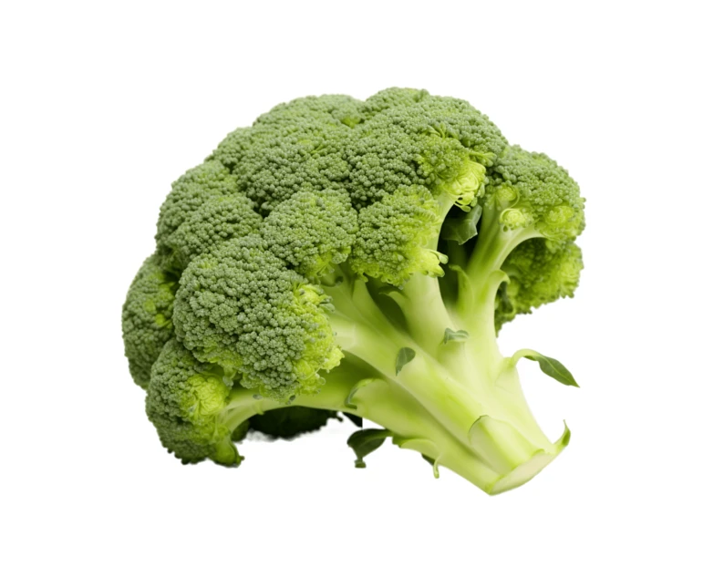 Fresh green broccoli head isolated on white background
