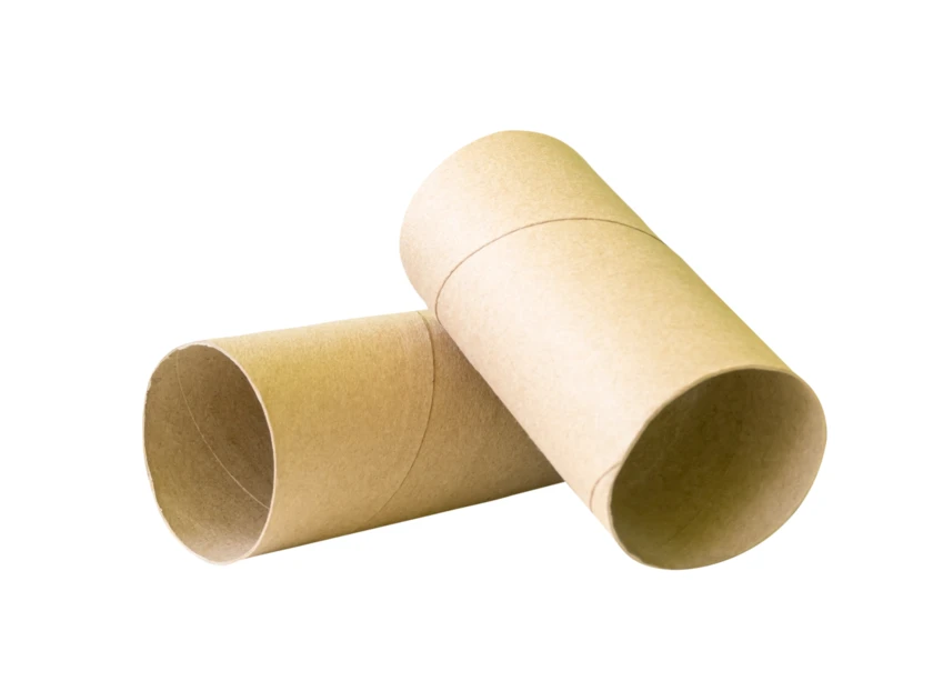 Two empty cardboard toilet paper rolls on white background