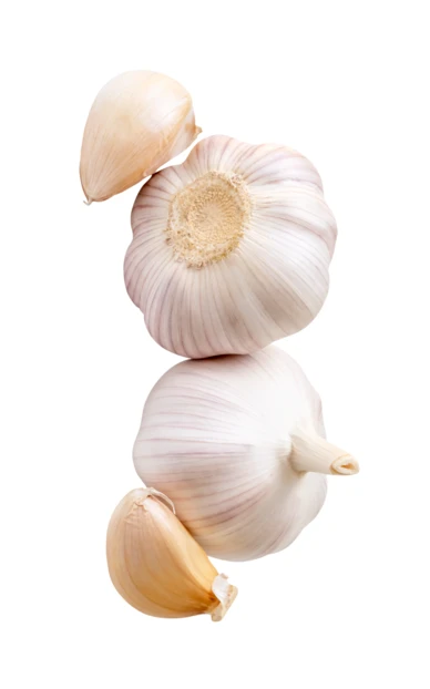 Fresh garlic bulbs and cloves isolated on white background