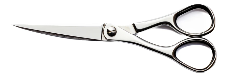 Professional stainless steel scissors isolated on white background