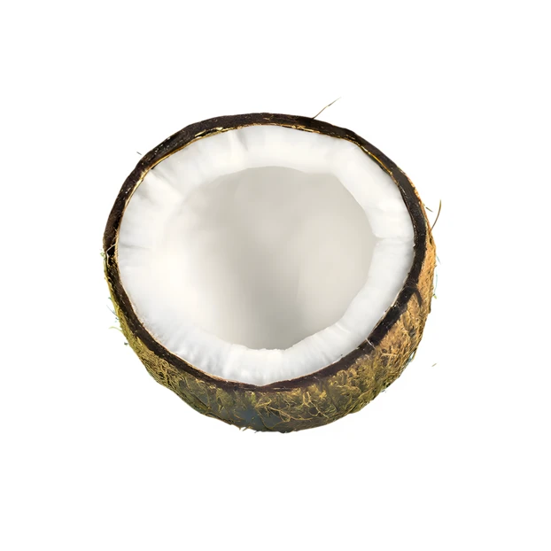 Half of a fresh coconut isolated on white background