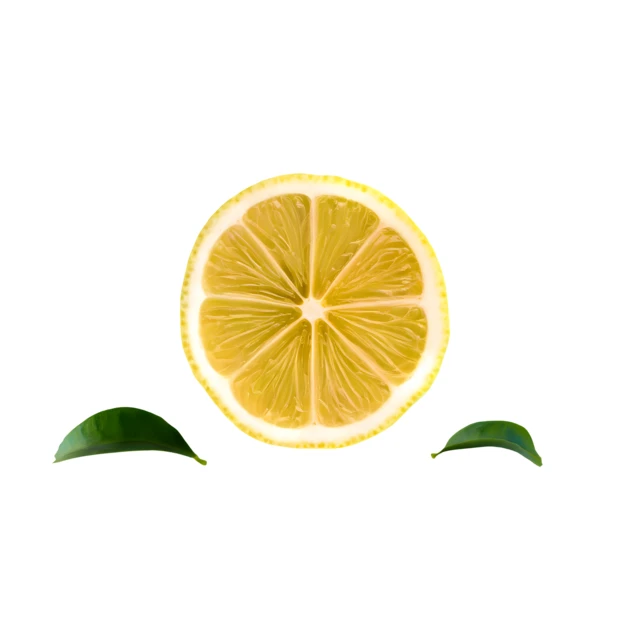Fresh lemon slice and green leaves isolated on white background