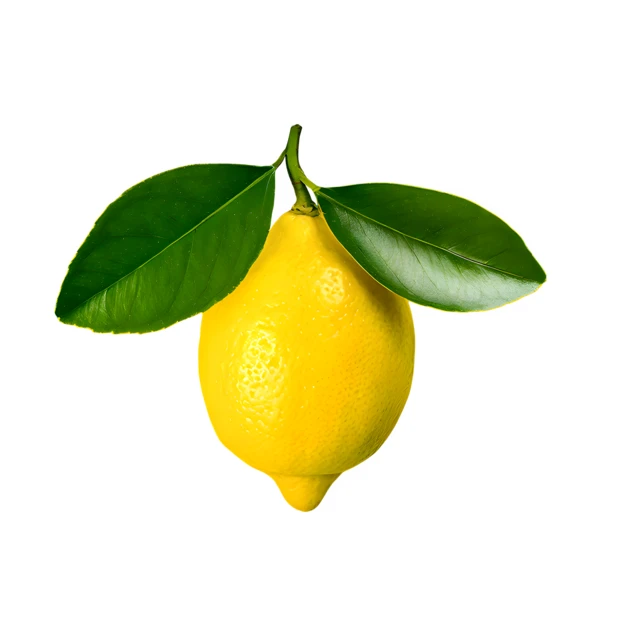 Fresh whole yellow lemon with leaves isolated on white