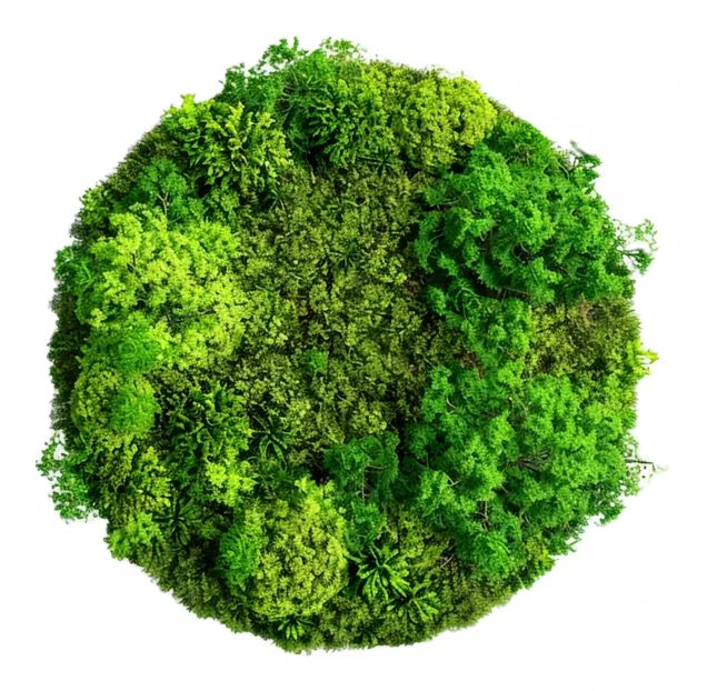 Top down view of a circular green forest cluster