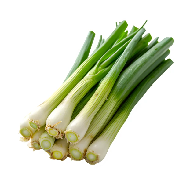 Bunch of fresh green onions isolated on white background