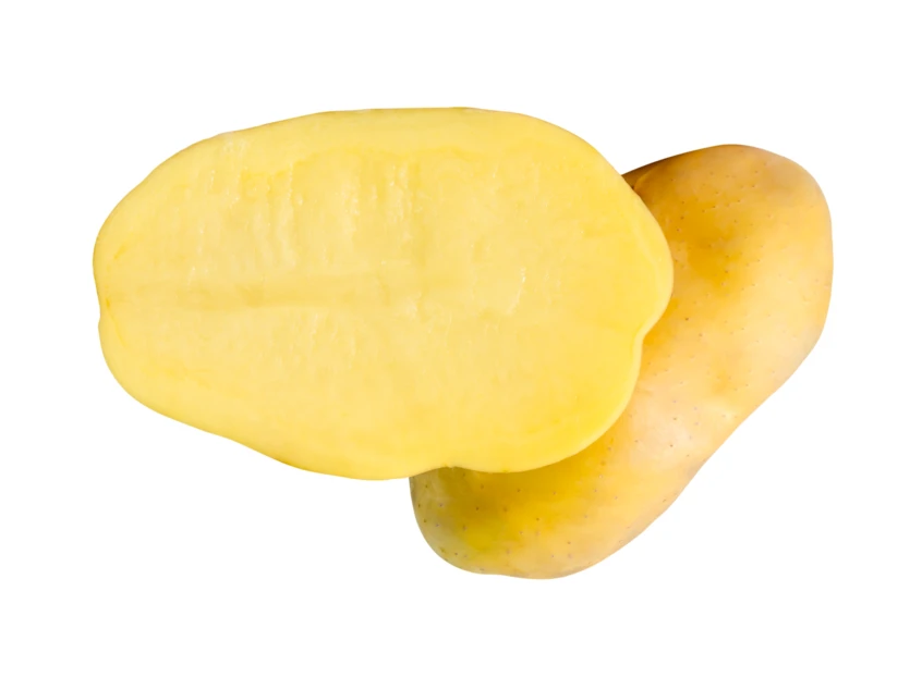 Yellow potato whole and sliced in half on white background