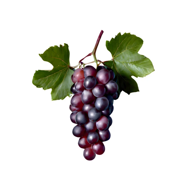 Bunch of fresh red grapes with leaves isolated on white