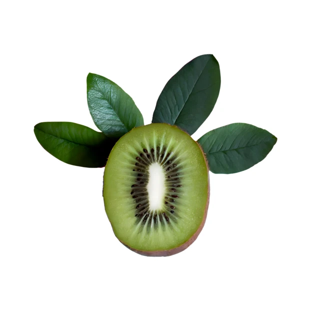 Fresh kiwi fruit slice with green leaves on white background