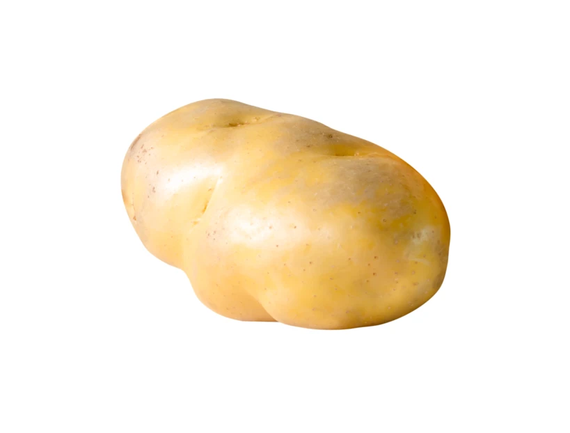 Single raw yellow potato isolated on white background