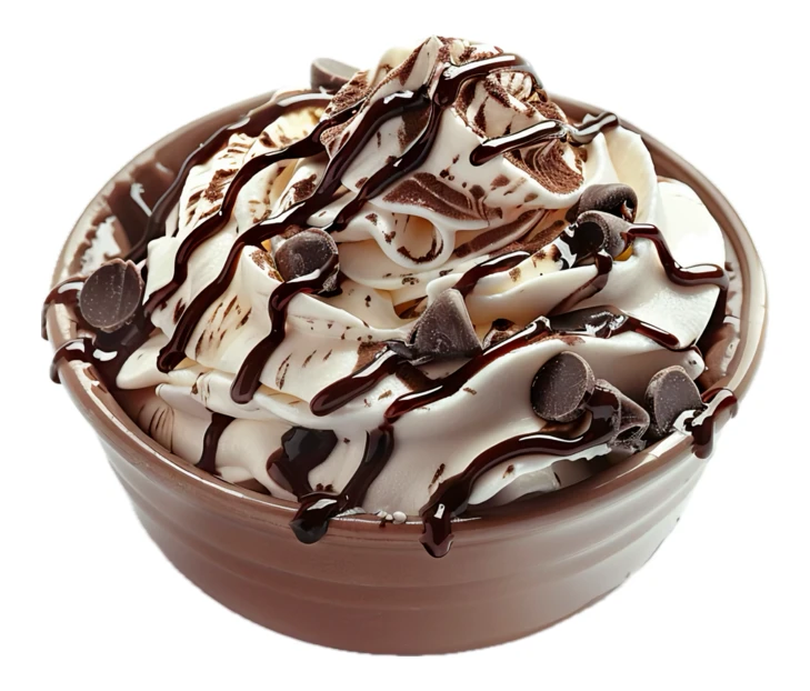 Bowl of frozen yogurt with chocolate syrup and chips
