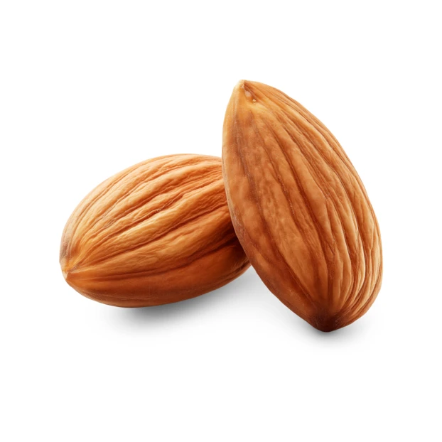 Two raw almonds isolated on white background