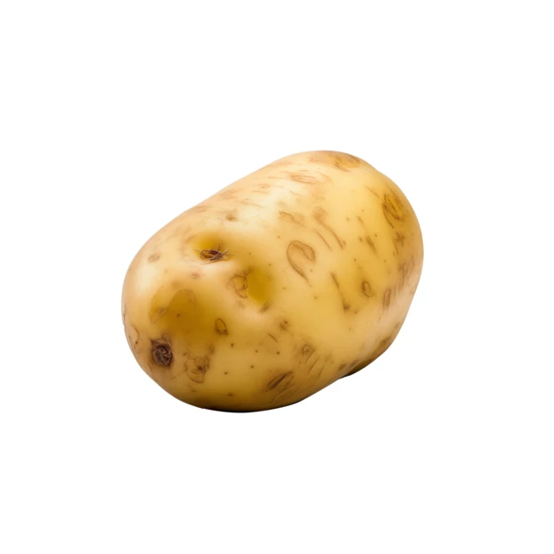 Single raw potato isolated on white background