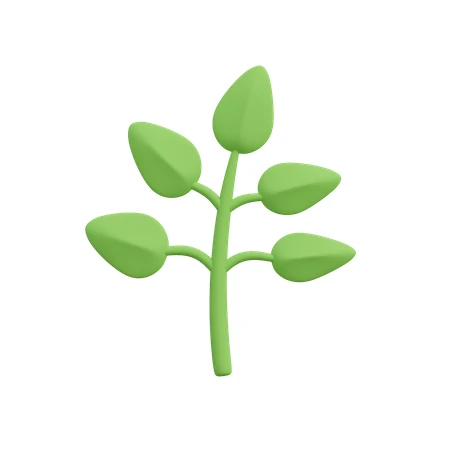 3D stylized green plant seedling with five leaves