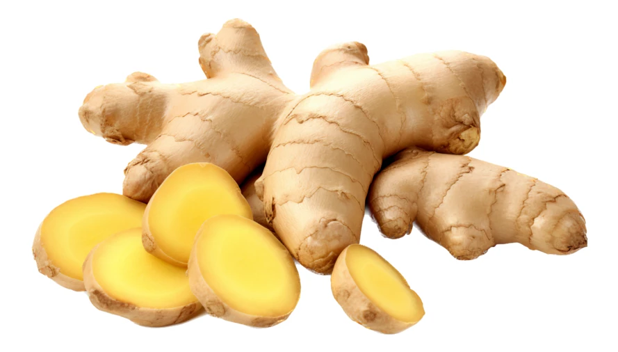 Fresh ginger roots and slices isolated on white background