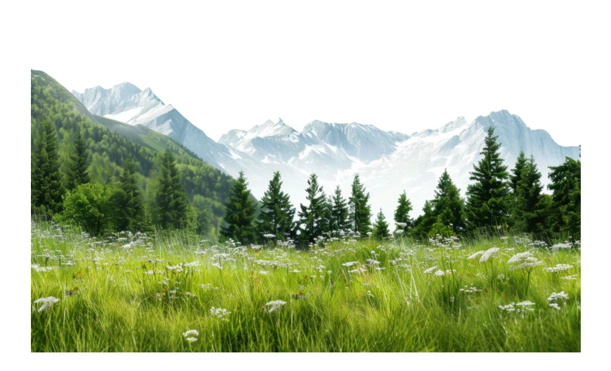 Scenic alpine landscape with pine forest and wildflower meadow