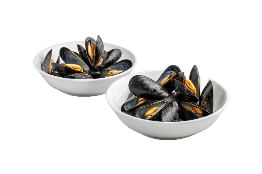 Two bowls of cooked mussels isolated on white background