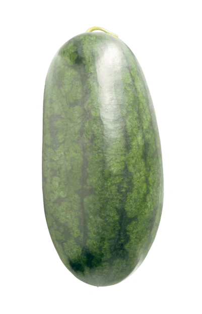 Whole oblong watermelon isolated on white background