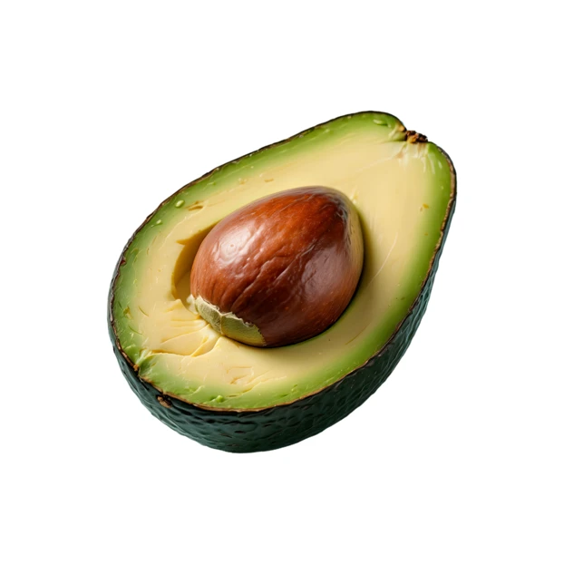Half avocado with pit isolated on white background