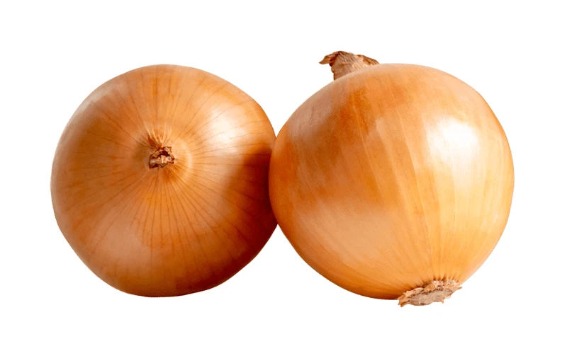 Two whole yellow onions isolated on white background