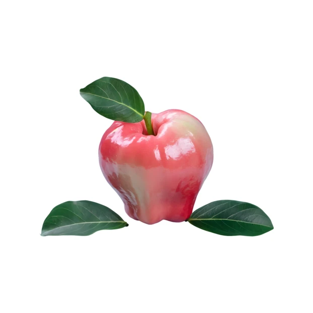 Rose apple fruit with green leaves on white background