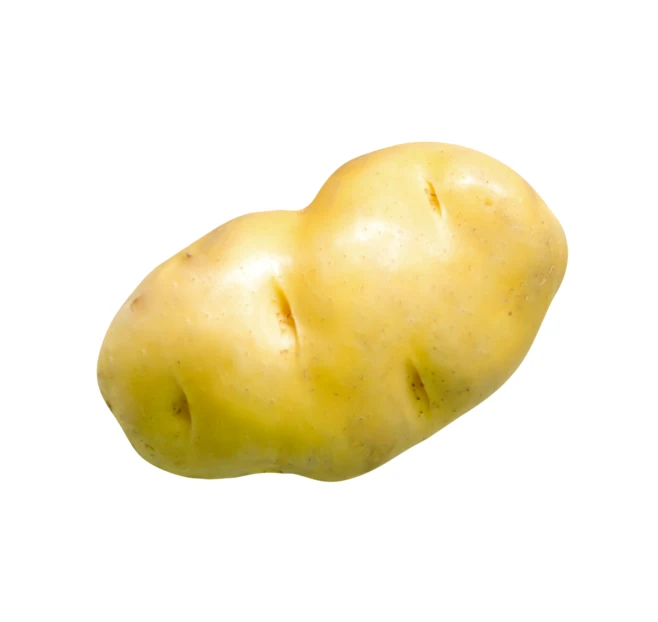 Raw organic potato isolated on a white background