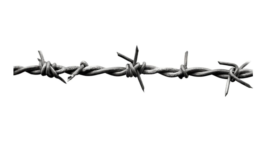 Close-up of rusty barbed wire isolated on white background