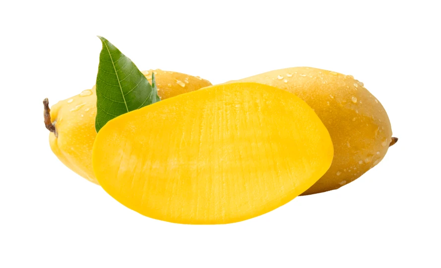 Fresh yellow mango fruits with slice on white background