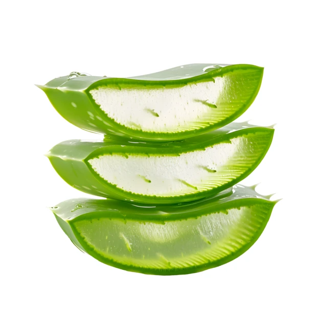Three stacked aloe vera slices on white background
