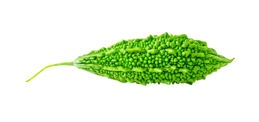 Fresh green bitter melon isolated on white background