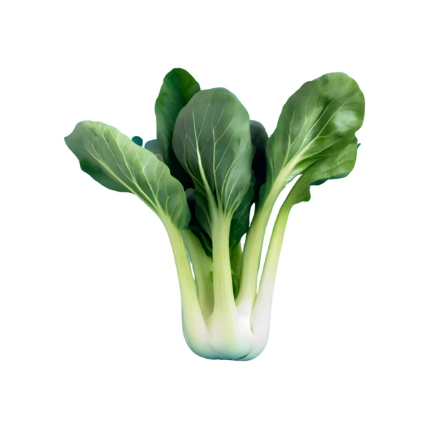 Fresh bok choy cabbage isolated on white background