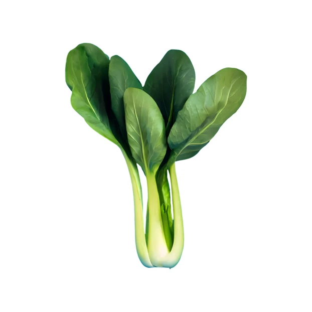 Fresh green bok choy vegetable isolated on white background