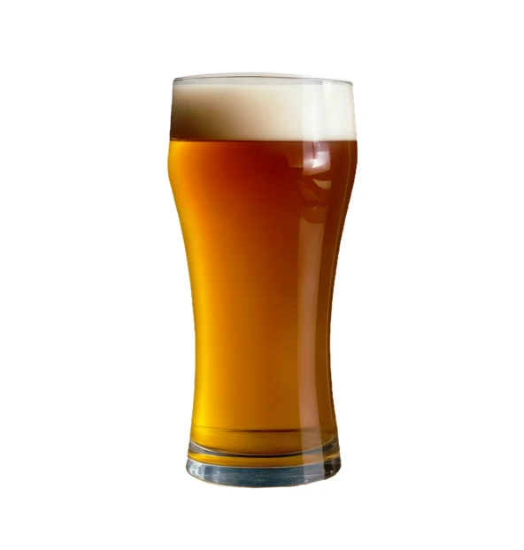 Glass of amber beer with foam isolated on white background