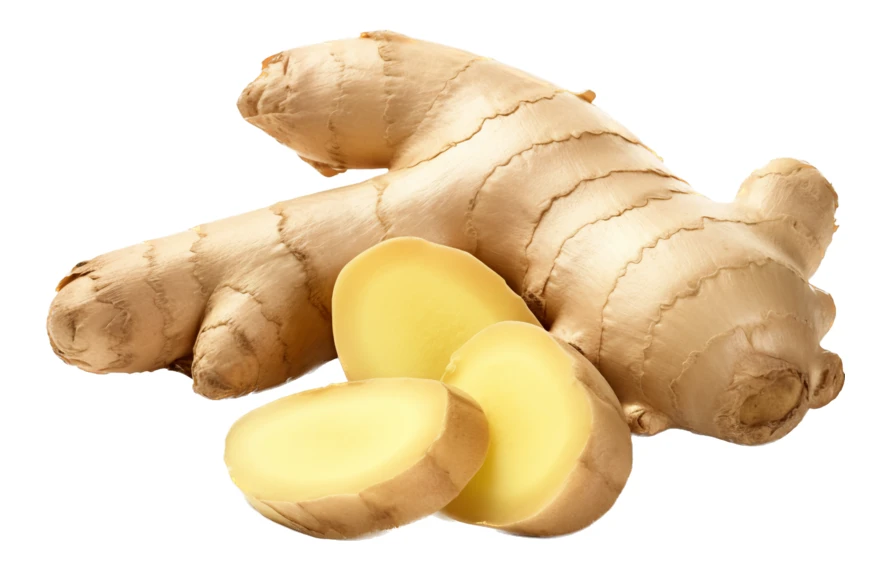 Fresh ginger root and slices isolated on white background