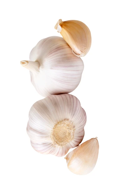 Whole garlic bulbs and cloves isolated on white background