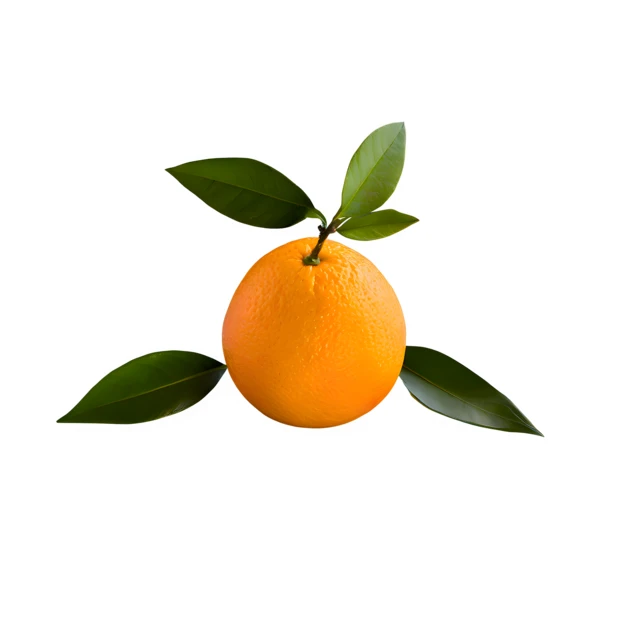 Fresh whole orange with green leaves isolated on white background