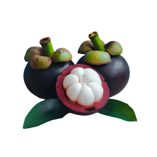 Fresh mangosteen fruits with one halved showing white segments